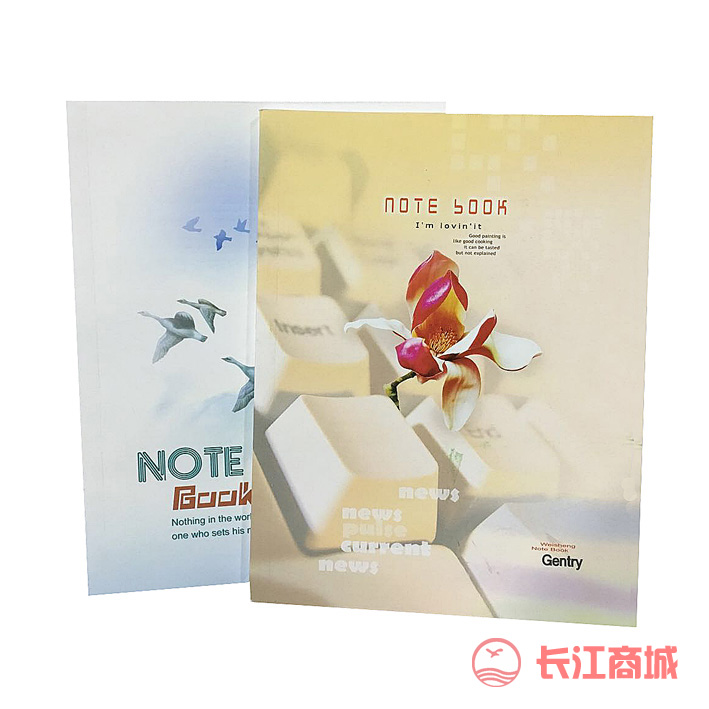 伟盛22K-100软皮抄