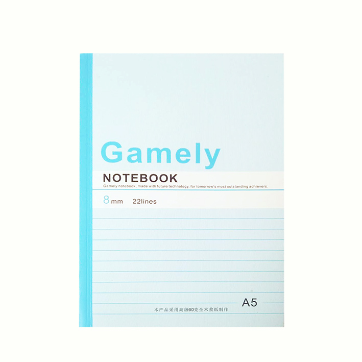 伟盛软皮抄A5x30页