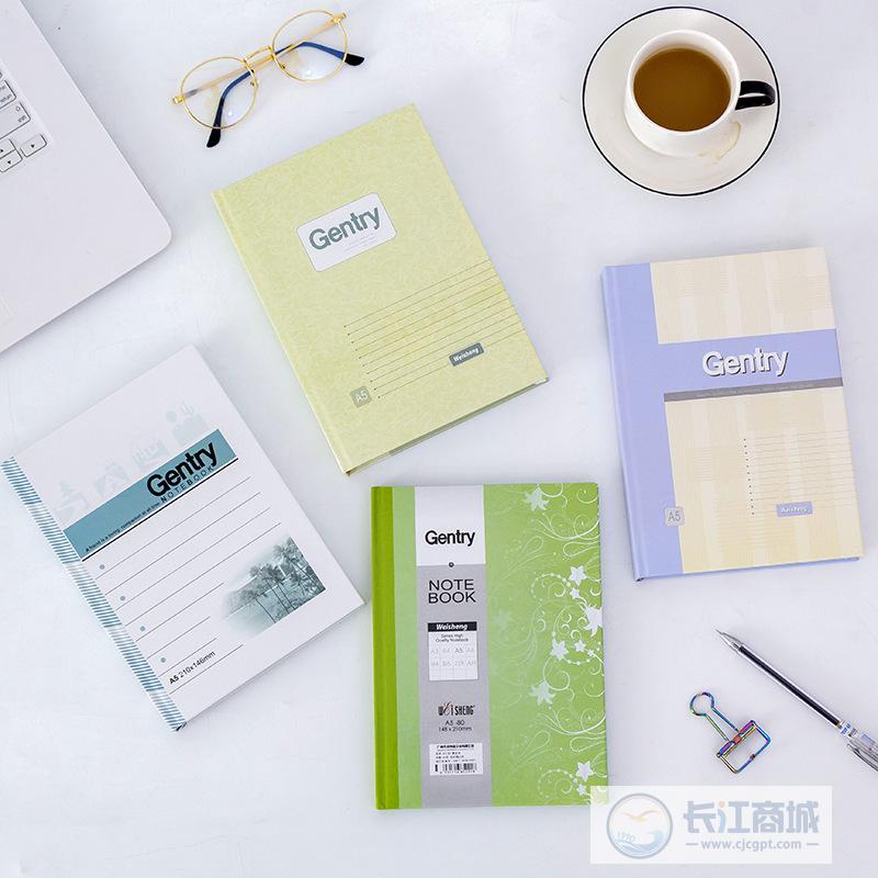 100页硬皮抄 伟盛 A5*100