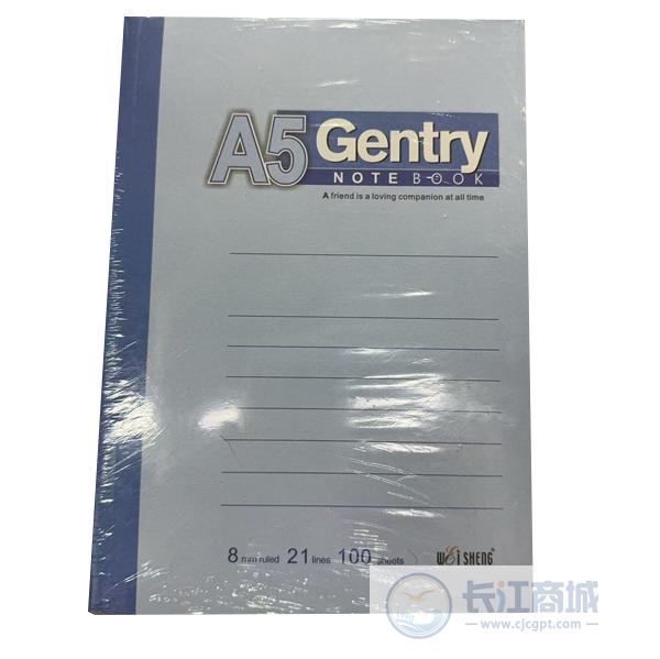 软皮抄[厚] 伟盛 A5*100