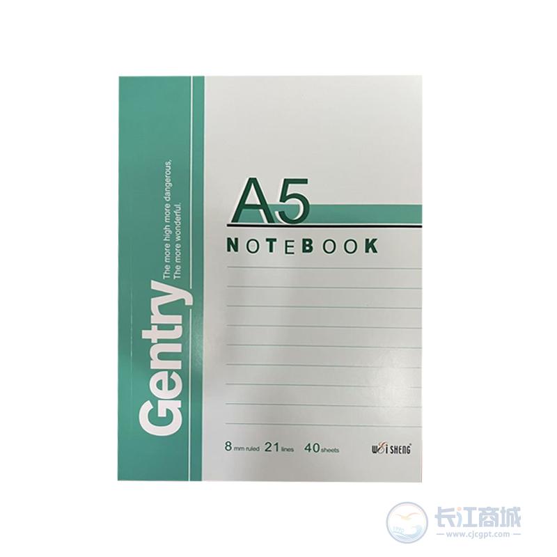 软皮抄[薄] 伟盛 A5*40