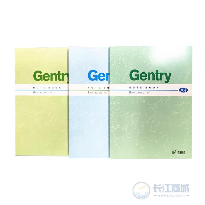 100页软皮抄 伟盛 A4*100